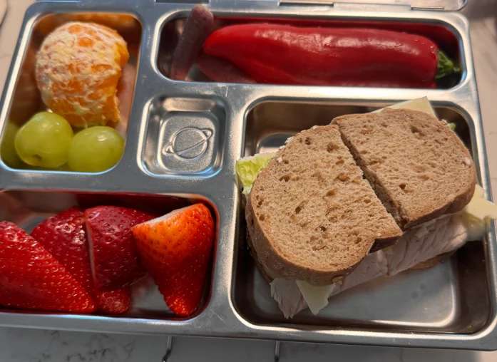 A steel bento box holding a turkey sandwich on brown bread cut in half with lettuce and cheese, sliced strawberries, a peeled clementine with green grapes, and a whole red pepper